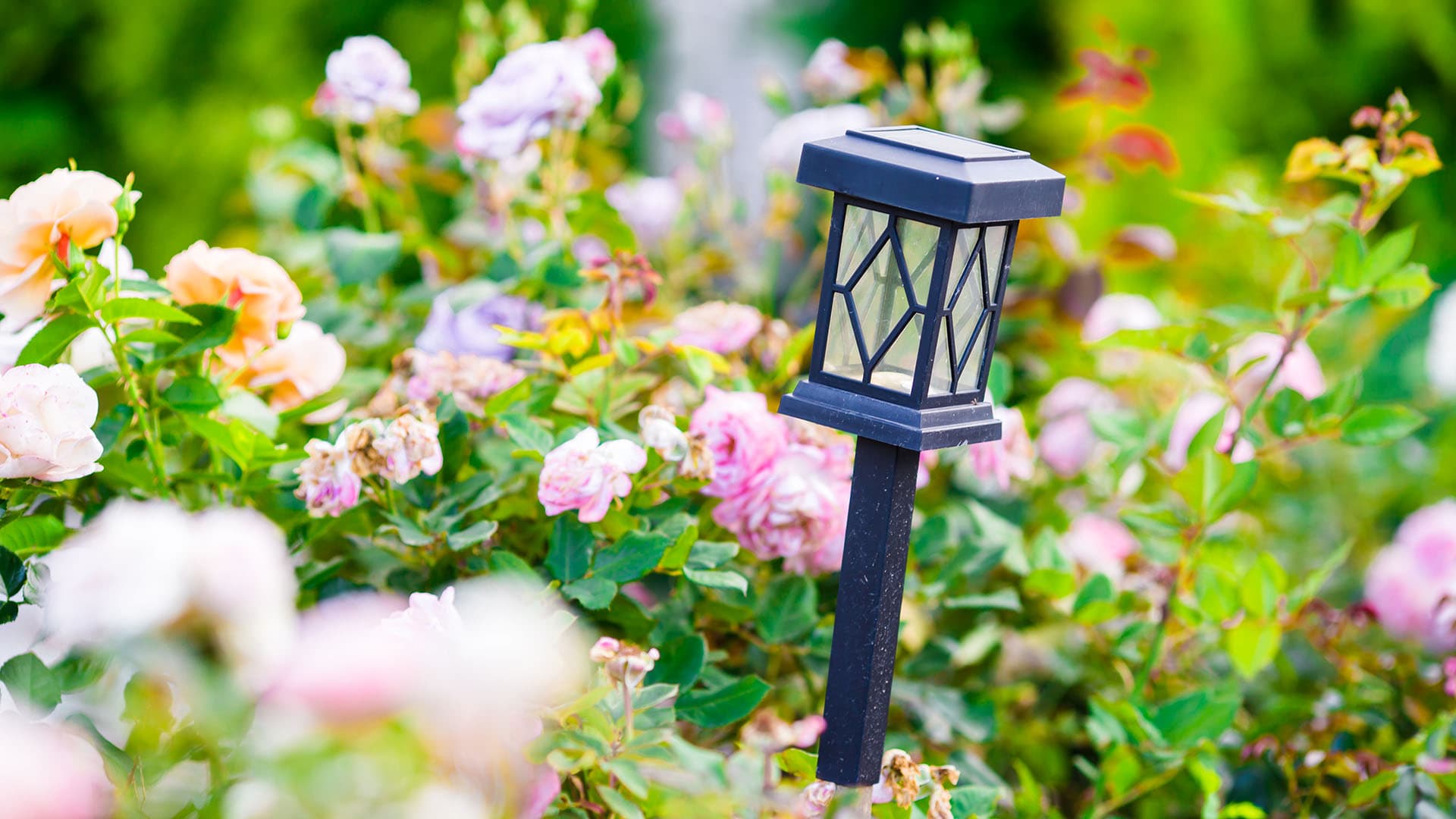 <p data-block-key="kvse0">Kukkapenkin sulostuttajat: pienet aurinkokennolyhdyt. Näitä lyhtyjä voi sijoittaa vaikka kulkureittien varteen.</p>