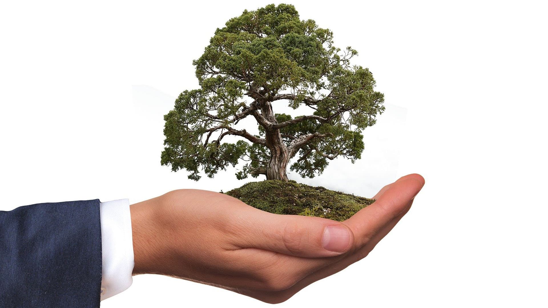 <p data-block-key="03p7t">Omilla valinnoilla on mahdollista vaikuttaa siihen, mitä kuormaa itse ympäristöönsä tuottaa.</p>