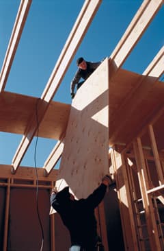 20076_5552.jpg