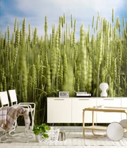 <p data-block-key="sv6ng">Valokuvatapetti Eco Photowall</p>