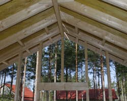 <p data-block-key="4gt0o">Kurkihirsi kulkee rakennuksen keskellä, päädystä päätyyn.</p>