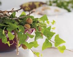 Hydroviljelyssä multa korvataan kevytsoralla