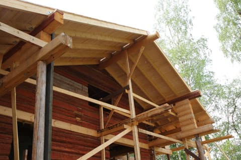 <p data-block-key="uqslx">Kurkihirsikin on kuorittua puuta.</p>