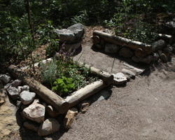 <p data-block-key="yqi6m">Kohde 5; hyötykasveja kohopenkissä</p>