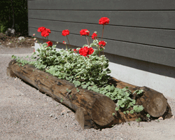 <p data-block-key="a9gxc">Kohde 5; ympäristöön sopiva kesäkukkaistutus</p>