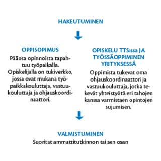 Onko yrityksessänne nuoria aikuisia joiden ammattitaitoa voisi kehittää?