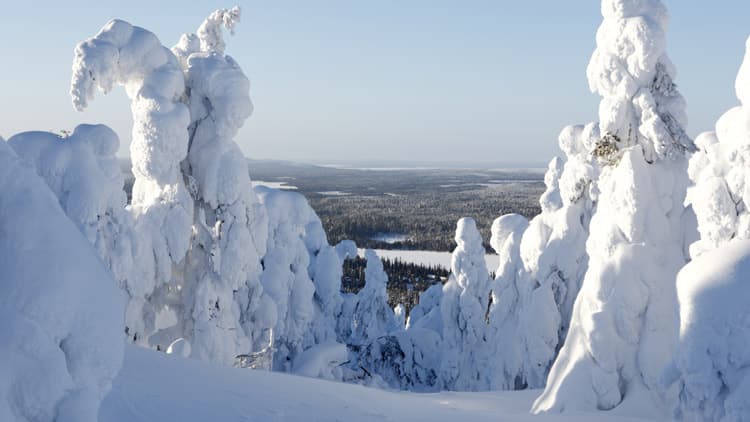 Lapin kaunis ja koskematon luonto on toiminut inspiraationa.