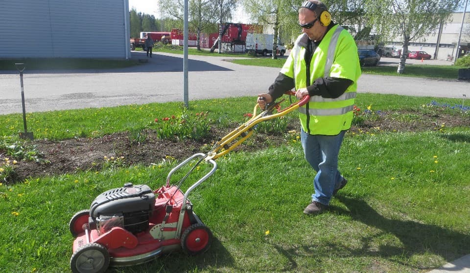 Oppimisessa parasta on oppiminen itsessään sekä luonto ja kasvillisuus.