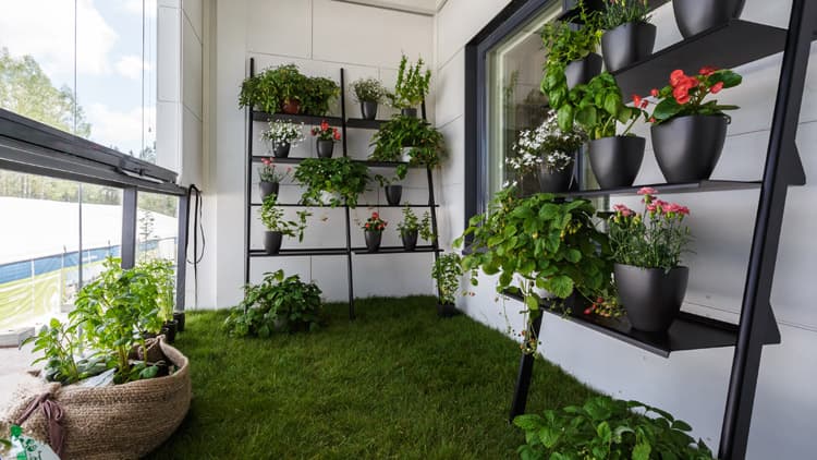 <p data-block-key="blkz7">Myös parveke voi olla näin herkullinen. Kohde 2, PuuMera.</p>