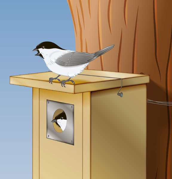 <p data-block-key="p1nzl">Valmis linnunpönttö saa varmasti pian asukkaita!</p>