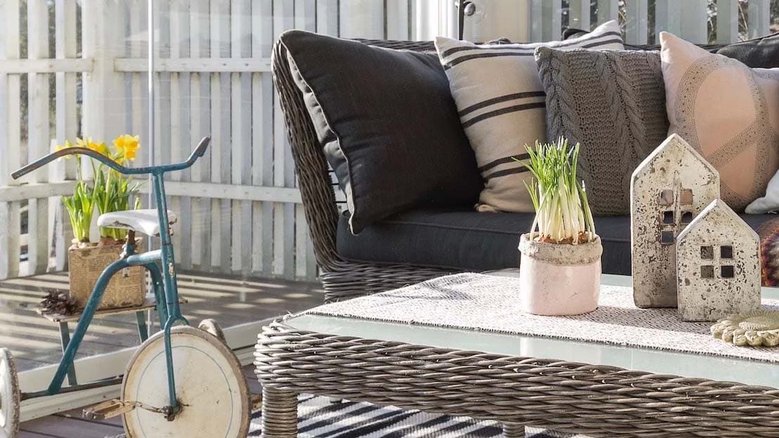 Helppohoitoiset kasvit keväiselle lasiterassille