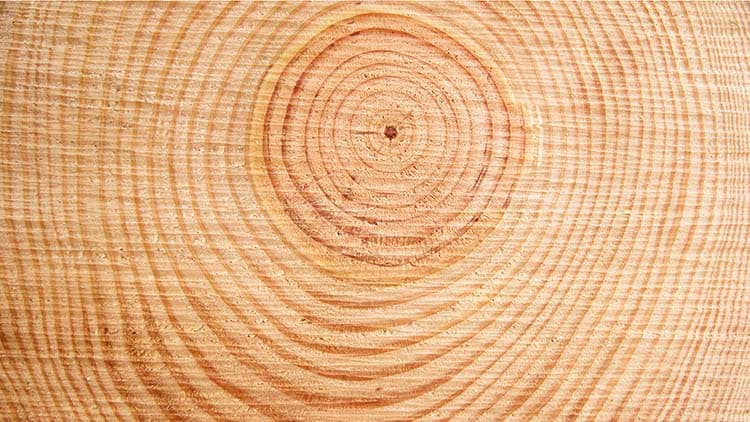 Ekologinen vaihtoehto hirsirakentamiselle