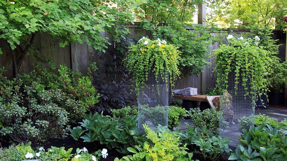 Kasvit luovat pihan tunnelman - vuodenajat vaihtavat pihan ilmeen