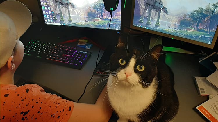 Etätyöpistekilpailu on ratkennut - ja voittaja on...