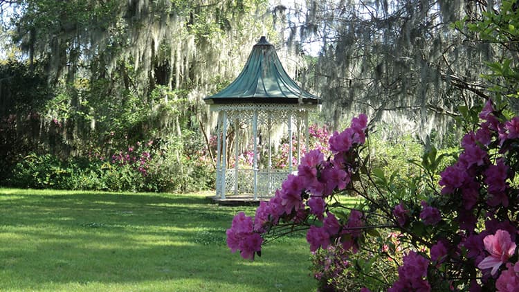 Pihojen kamalan ihana paviljonki