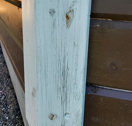 <p data-block-key="qgerw">Unohtuiko oksalakka? (Kuva: Sari Nieminen)</p>