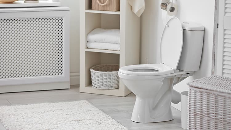 Toimiiko tämä vessanpöntön puhdistuskikka oikeasti? Asiantuntijat testasivat