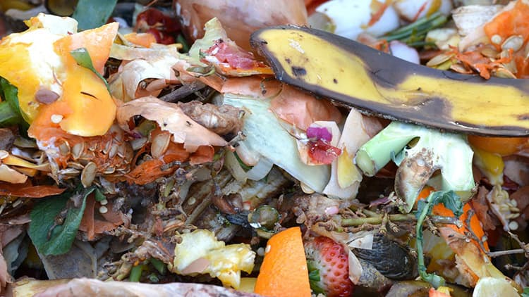 Bokashi-kompostointi on siisti ja tehokas tapa kierrättää biojäte