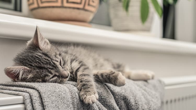 <p data-block-key="xo6w1">Jäteilman lämpötilan vaihtelut kertovat, onko kone lämmöntalteenotolla, ohituksella vai sulatusjaksolla.</p>