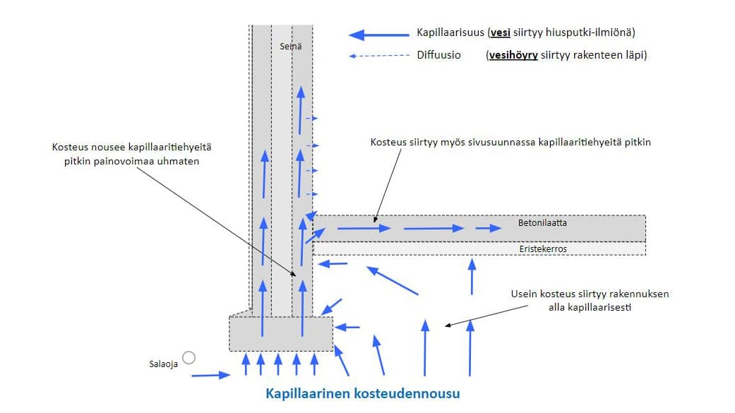 Mitä on kapillaarinen kosteus ja miten aiheutuneet ongelmat korjataan?