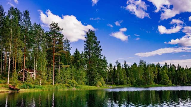 mökki järven rannalla