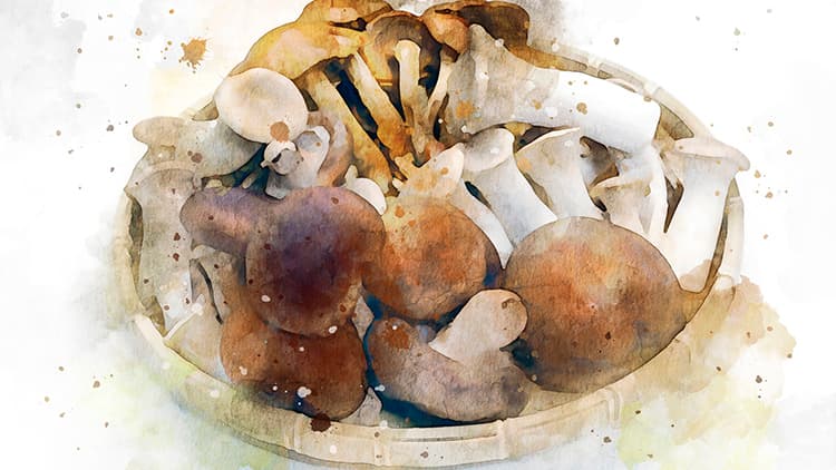 Viikon sisustusidea: Rantautuuko tämä hassu sisustustrendi myös Suomeen?