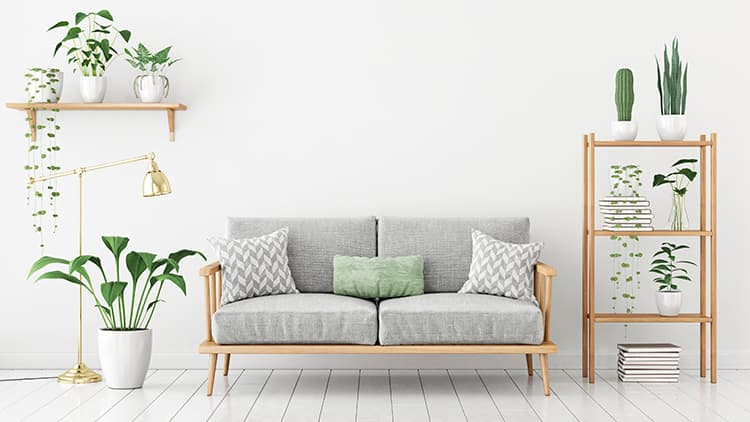 Viikon sisustusidea: Valkoinen on sisustuksen vaikein väri