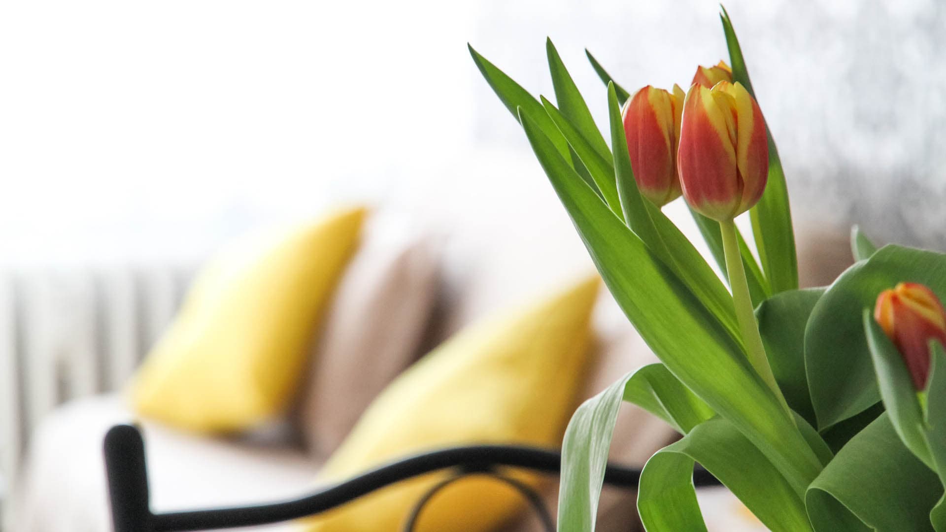 Millaisia asuntoja nykypäivänä ihmiset haluavat? Katso ja ylläty