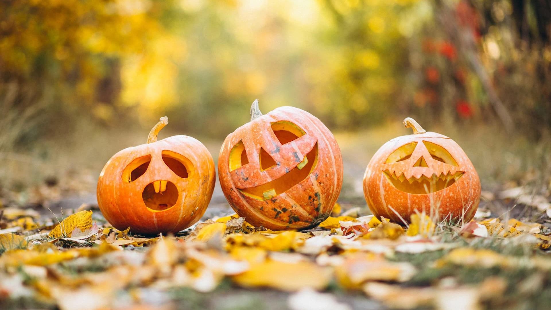 Pienten lasten halloween: nappaa vinkit lasten juhlaan
