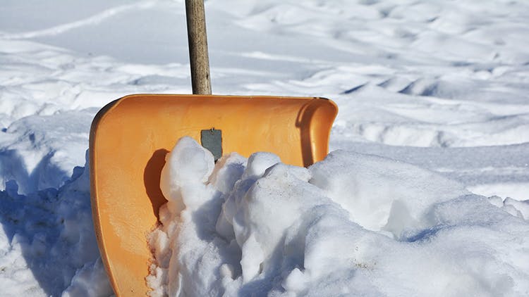 Poista pihatielle kertynyt lumi esimerkiksi lapiolla tai kolalla. Älä käytä suolaa.