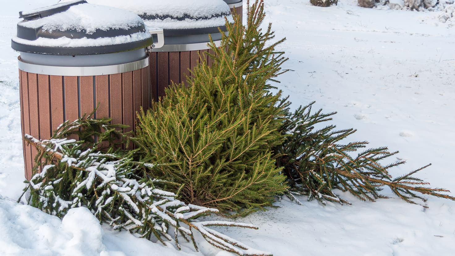 <p data-block-key="w3w0d">(Kuva: Adobe Stock)</p>