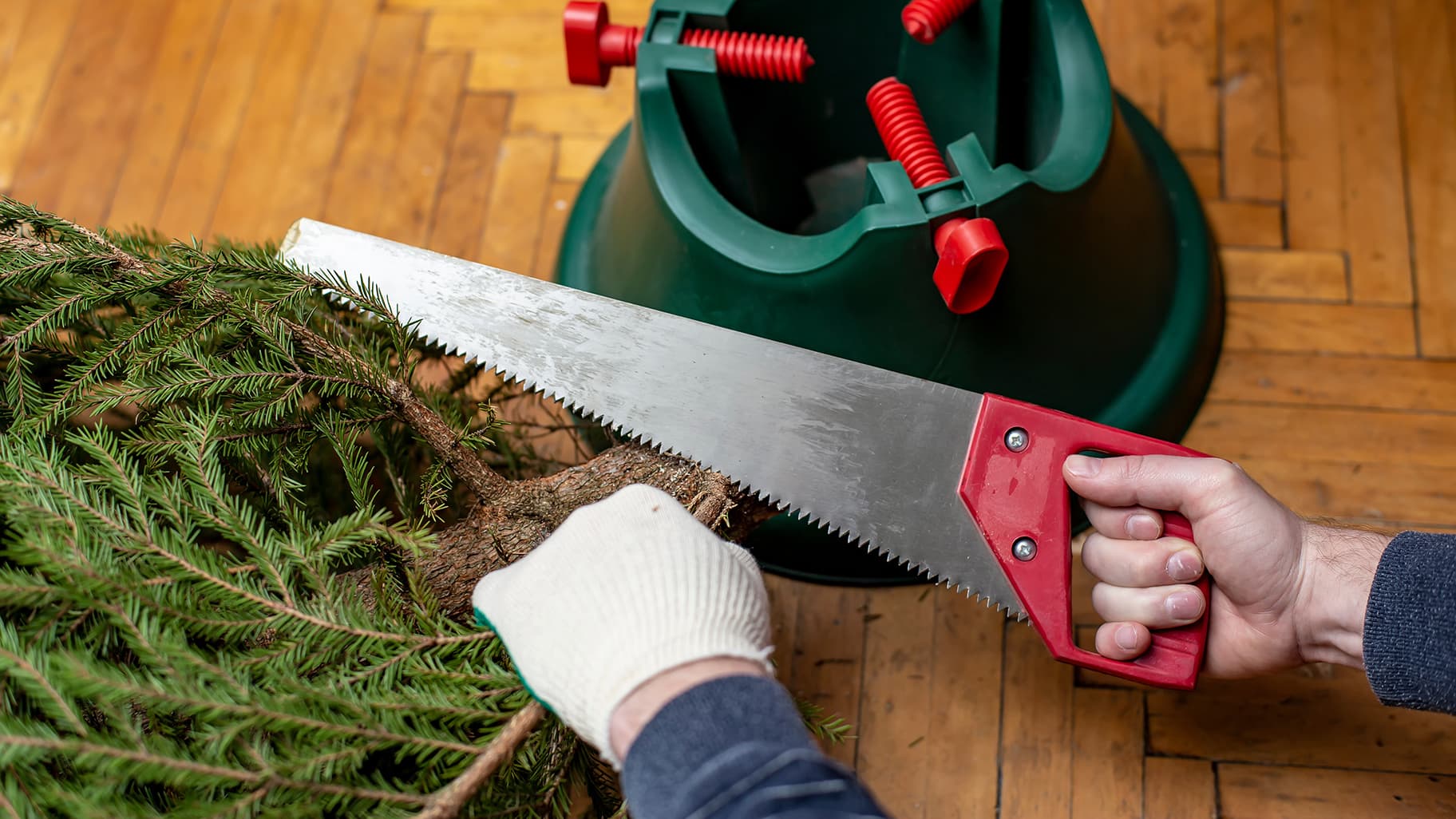 <p data-block-key="5yri4">(Kuva: Adobe Stock)</p>