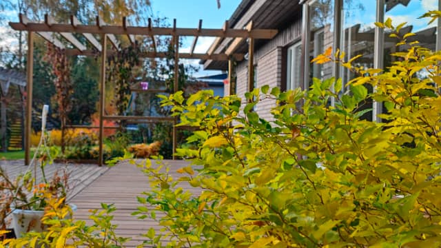valmis pergola terassin takana
