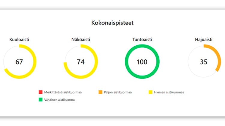 Sovellus kertoo sinulle graafisesti, mitkä osa-alueet tarvitsevat lisää huomiota aistiesteettömyyttä mietittäessä.