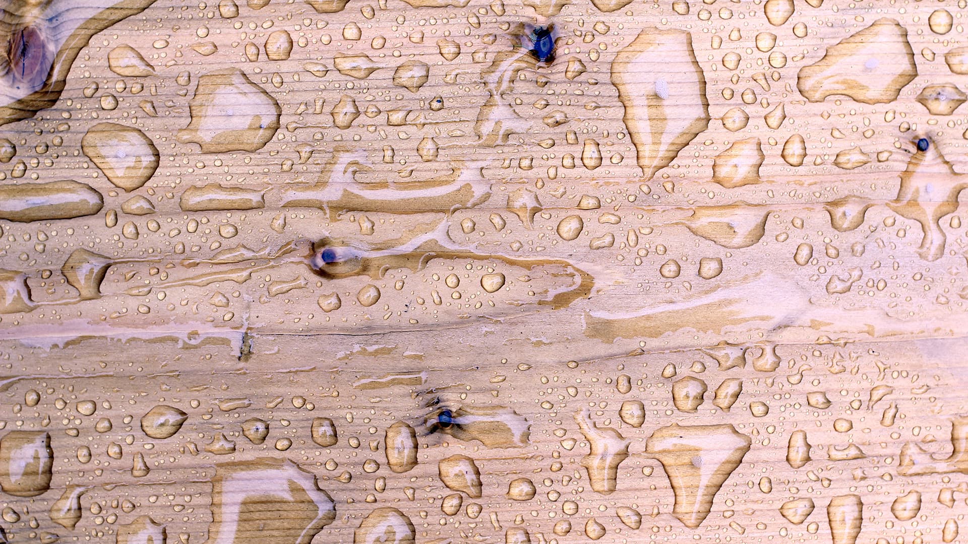 <p data-block-key="glnhl">Pisaratestin avulla voit nopeasti testata käsittelytarpeen.</p>