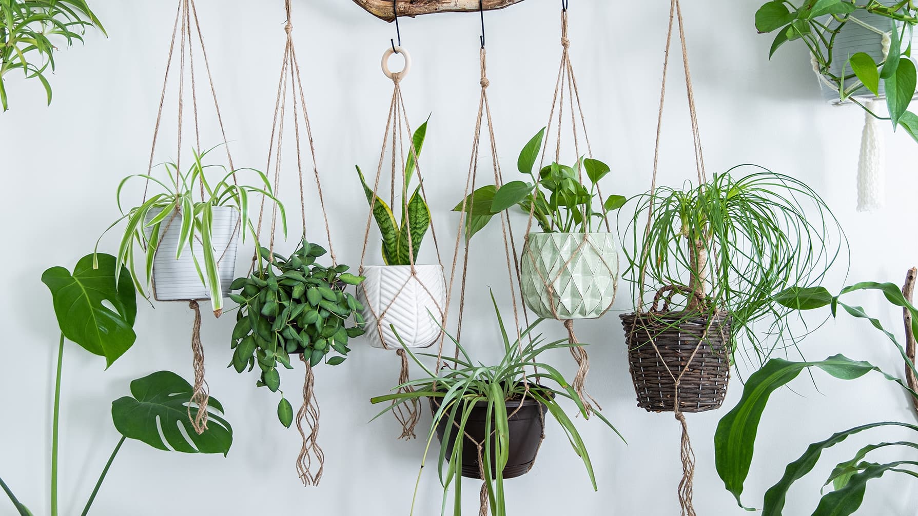 Amppeli säästää tilaa – hyödynnä tila kauniisti ja kekseliäästi