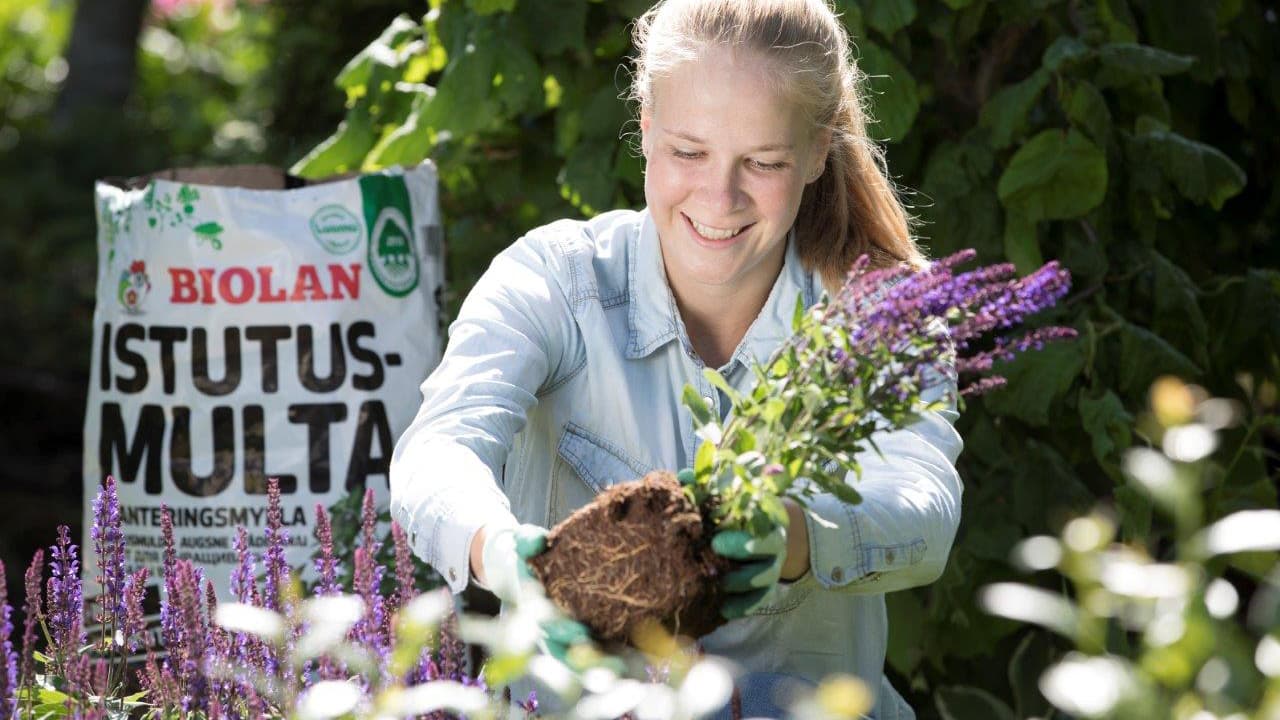 Sadonkorjuu on parasta - kitkeminen tylsää