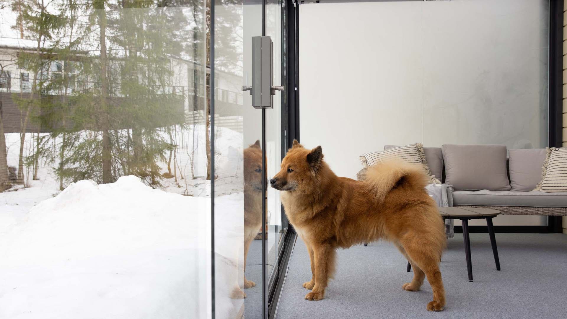 Suunnittele terassista ja pihasta harmoninen kokonaisuus