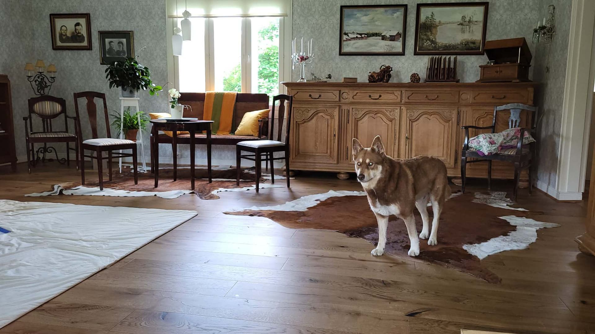 75 vuotta vanhan hirsitalon energiaremontti: Mitä hirsitalolle kuuluu nyt?