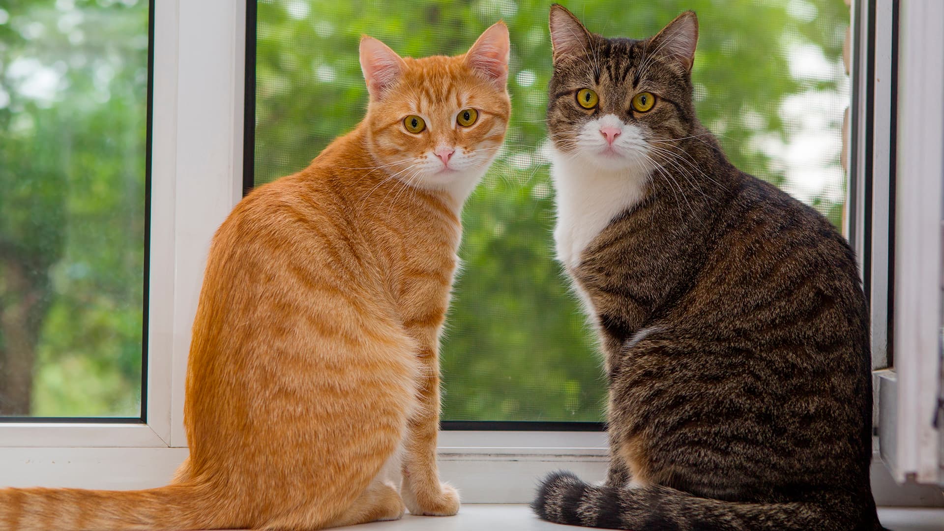 Asumismukavuutta tiivistämällä