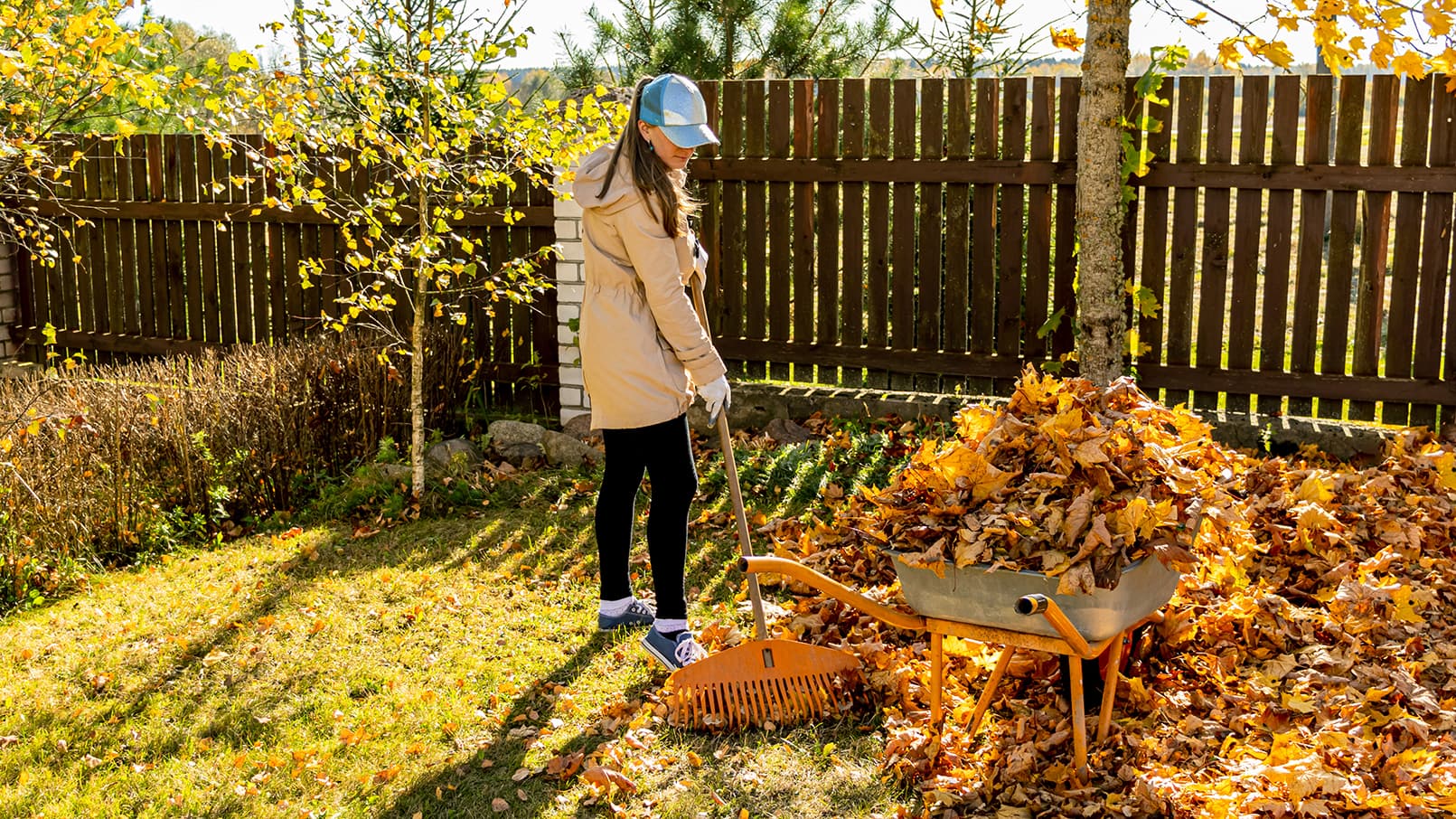 Haravoinnin tarpeellisuus syksyllä: Kannattaako lehdet haravoida syksyllä vai jättää maahan?