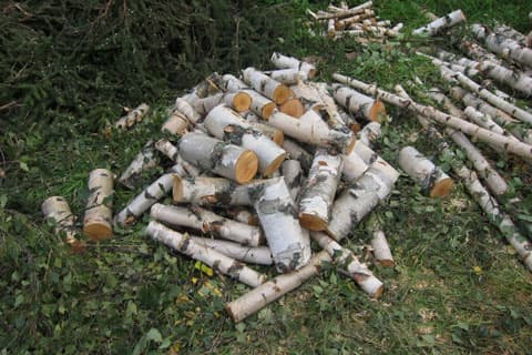 <p data-block-key="z155n">Tontilta kertyi vähäksi aikaa myös koivuklapeja talon tulevaan tulisijaan.</p>