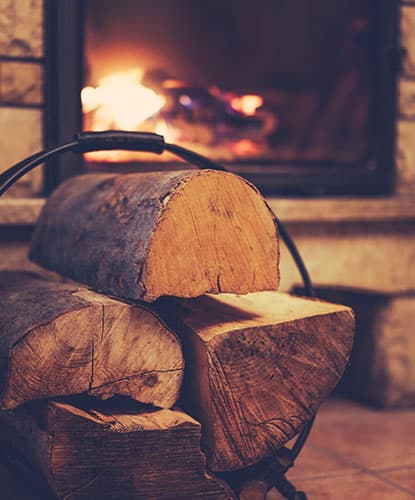 polttopuita tulisijan edessä