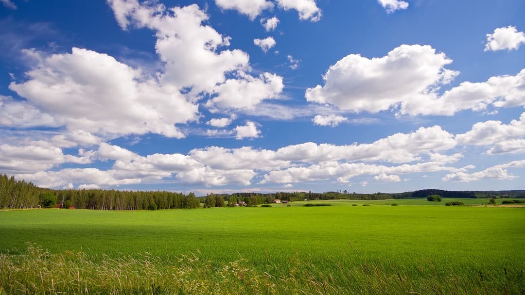 Suomalainen peltomaisema