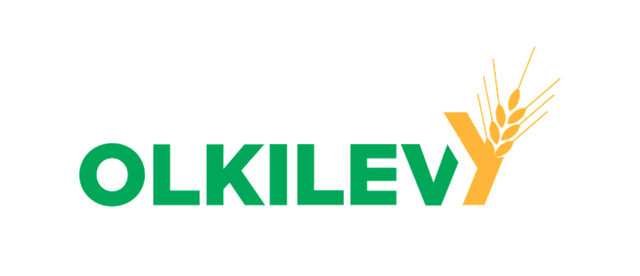 Olkilevy logo