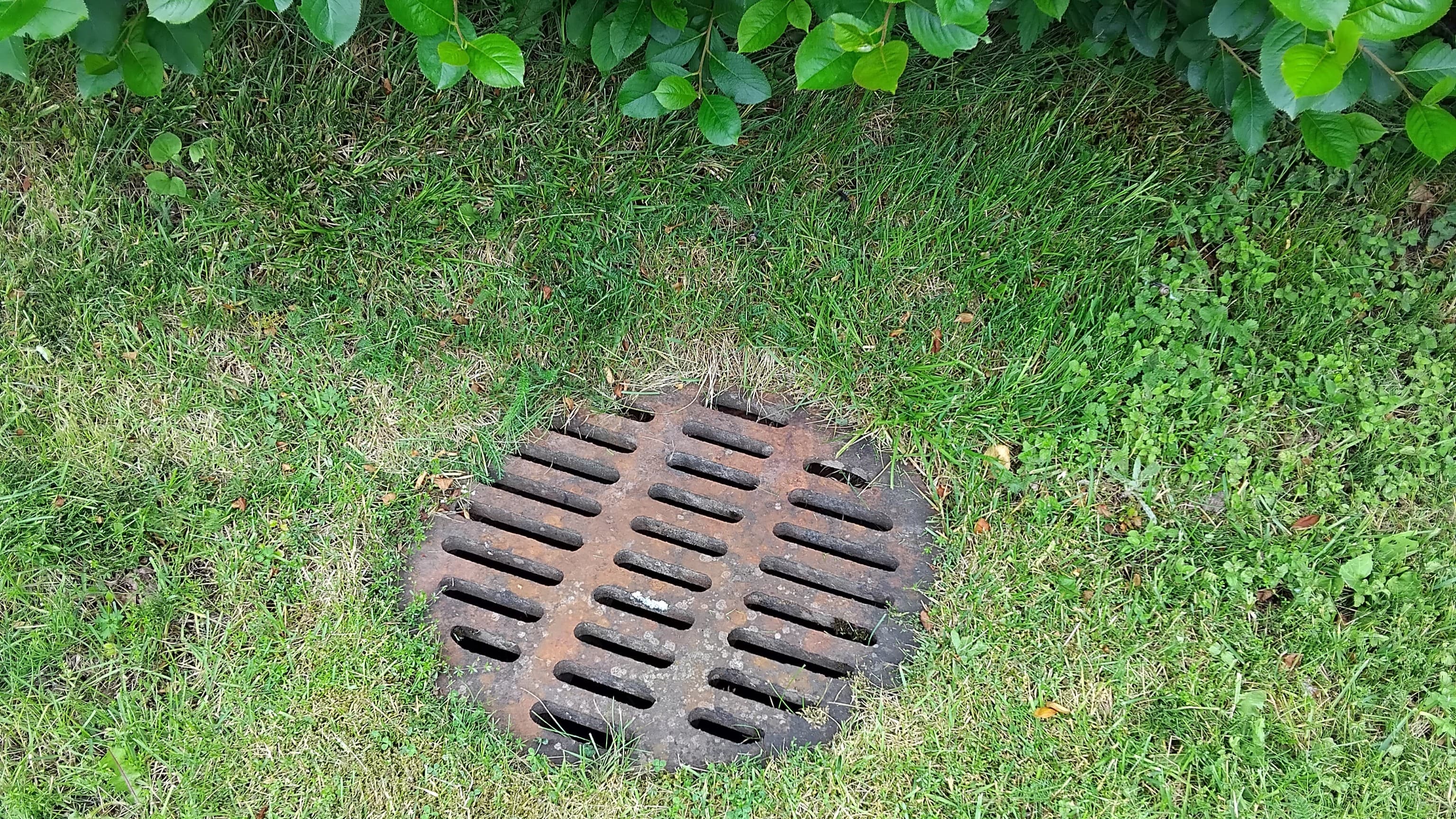 <p data-block-key="x1jb4">Vesi pääsee virtaamaan esteettä sadevesiviemärikaivoon, kun sen ritilä ei ole tukossa rikkaruohoista tai muista roskista.</p>