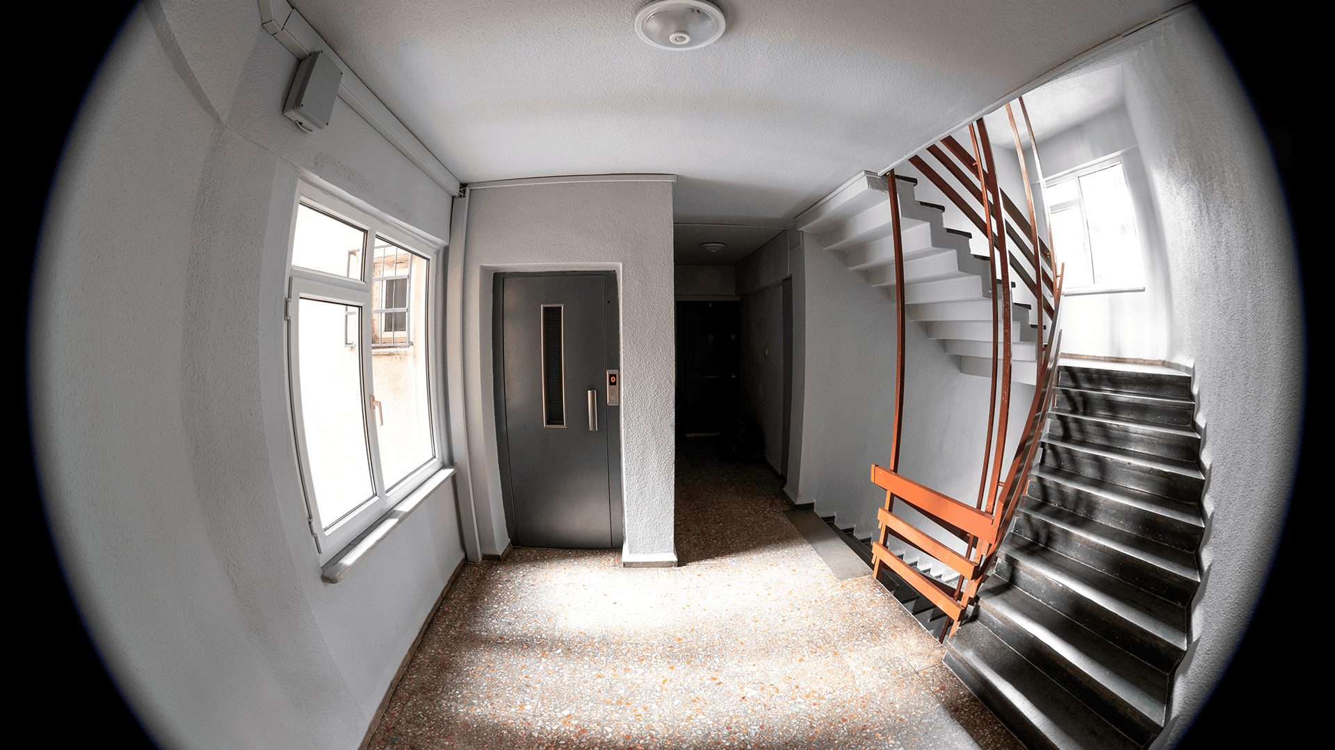 PAKINA: Kyttäyskulttuurin kannattajat ry