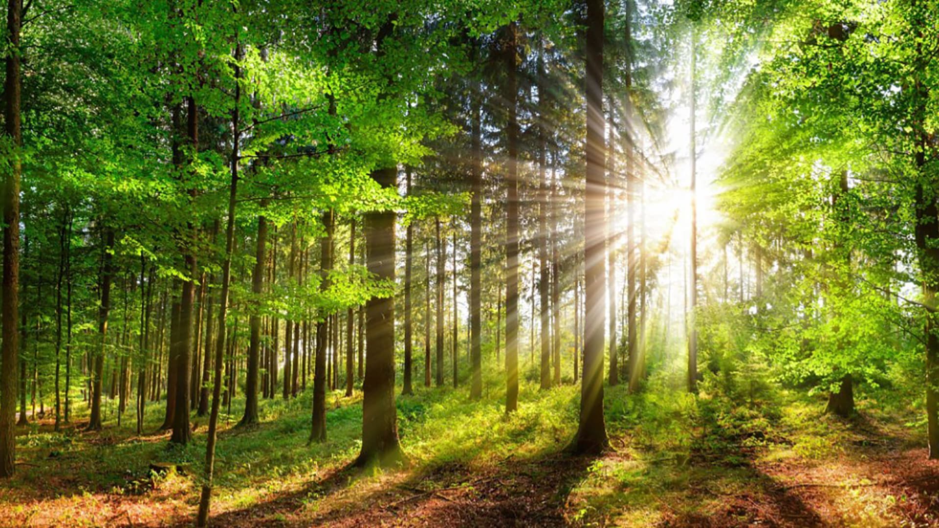 Therma-eristeet ovat korkealaatuisia PIR eristeitä.