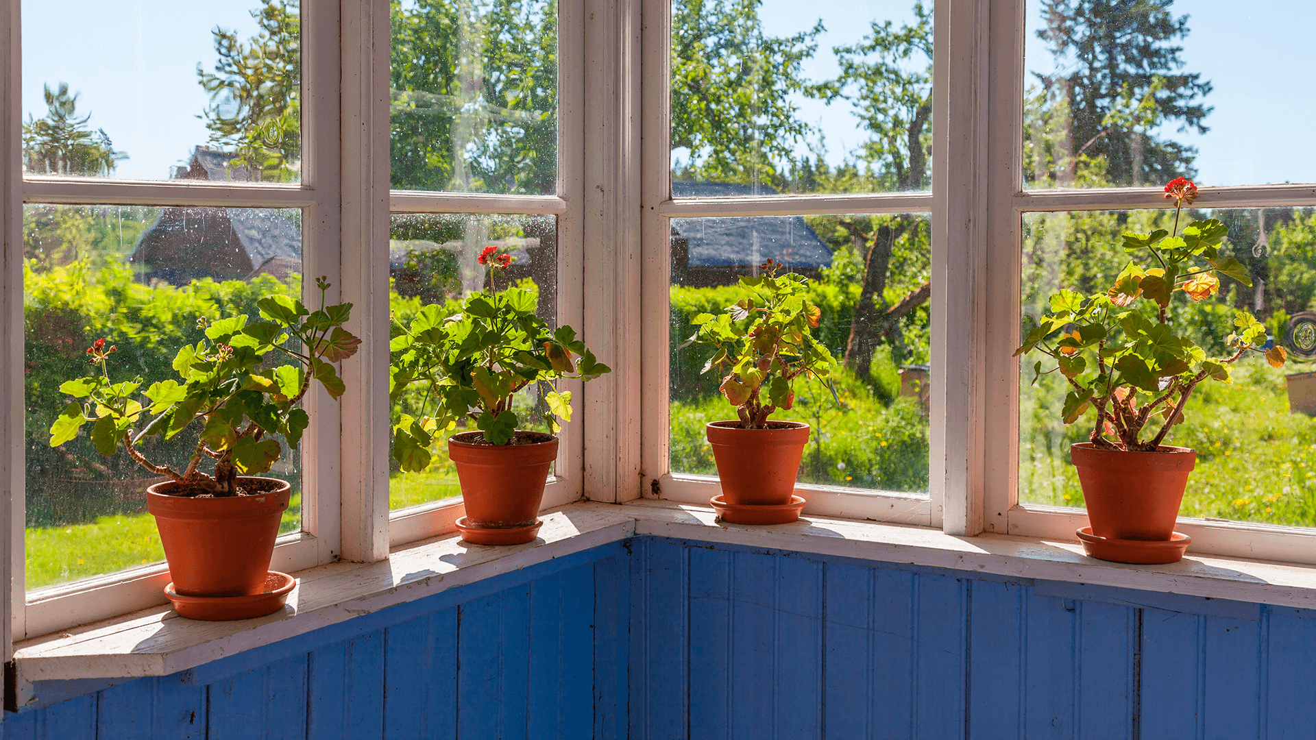 Viikon kysymys: Lautarakenteisen seinän eristäminen?