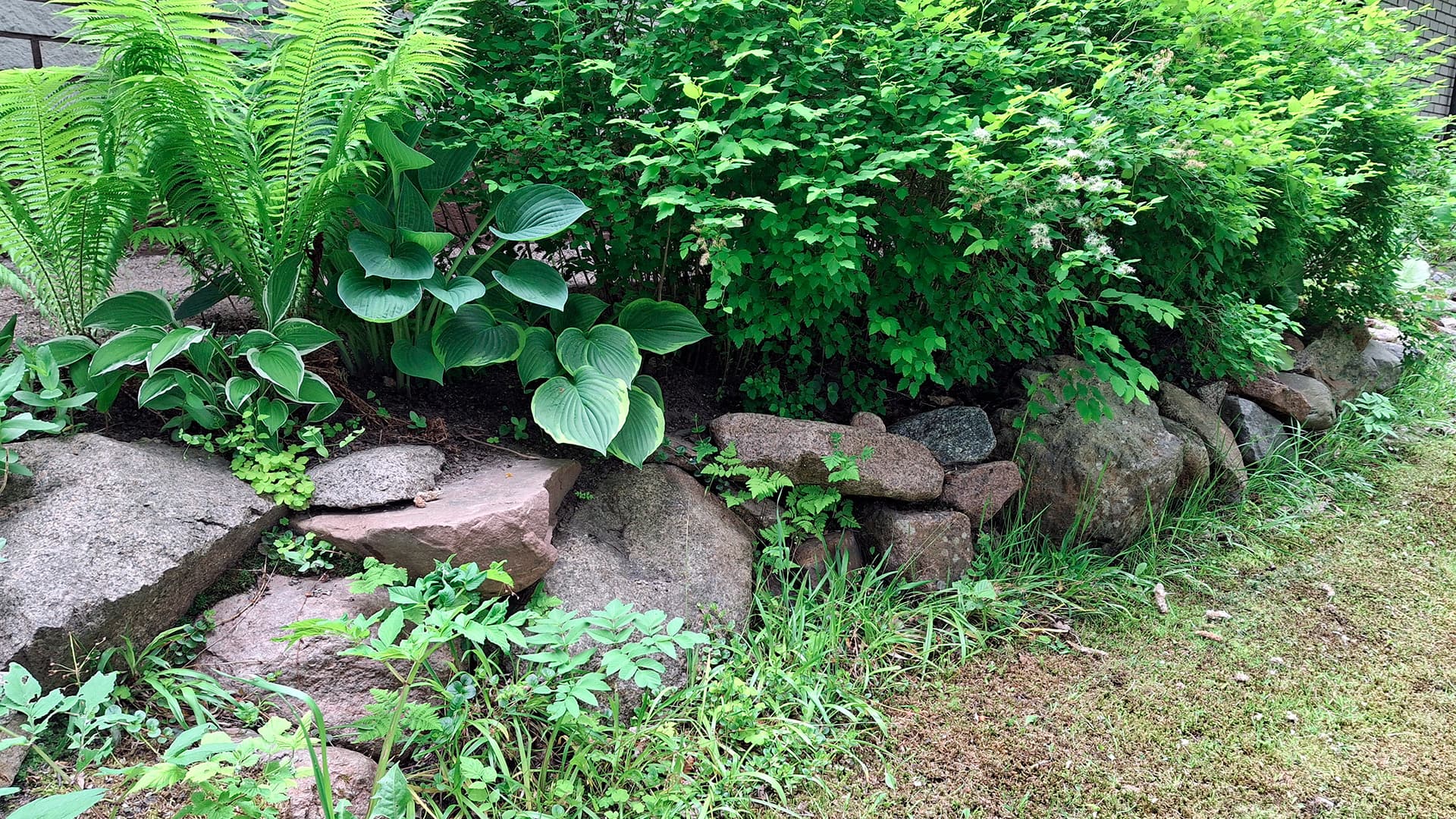 Tee Se Itse: vinkit luonnonkivetyksen onnistumiseen